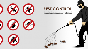 PEST KONTROL NEDİR ?