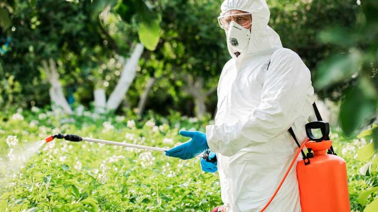 İzmir Dış Alan İlaçlama