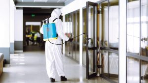 İzmir Villa İlaçlama