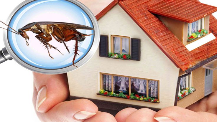 PEST KONTROL PROSEDÜRÜ